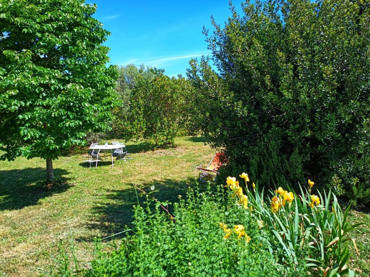 Les Jardins De Foata Villa Barbaggio Buitenkant foto