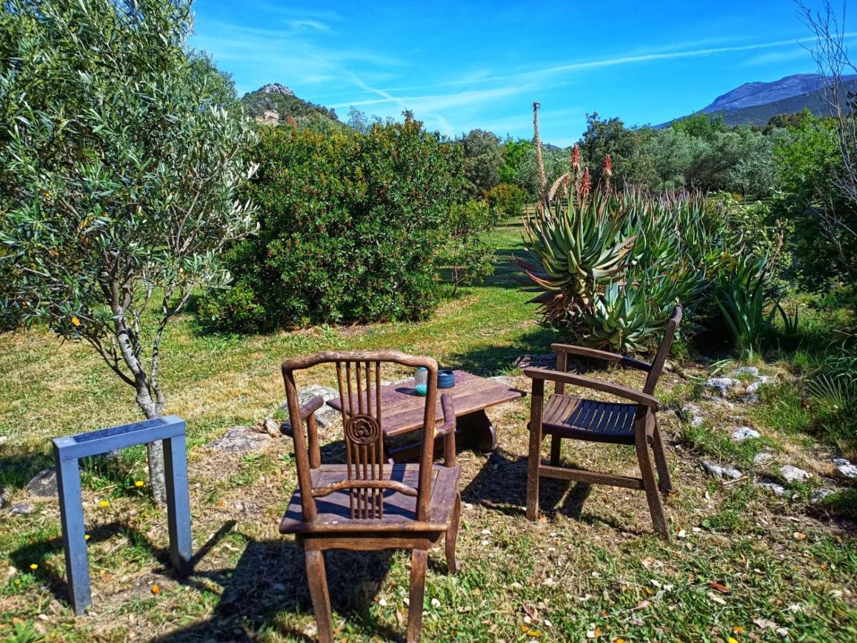Les Jardins De Foata Villa Barbaggio Buitenkant foto