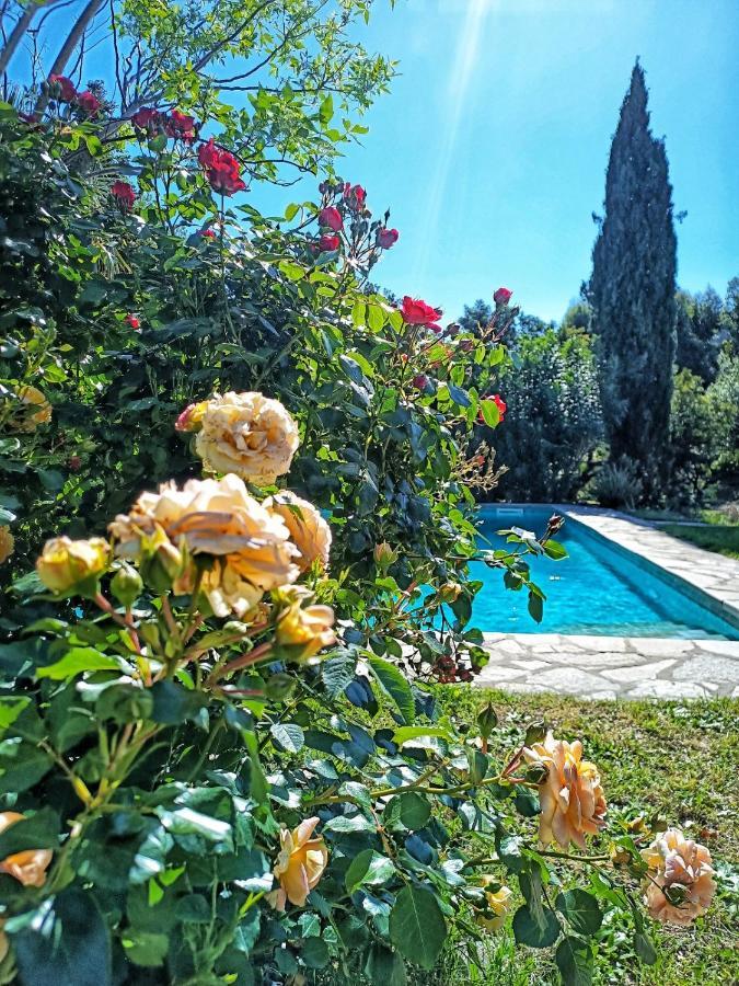 Les Jardins De Foata Villa Barbaggio Buitenkant foto