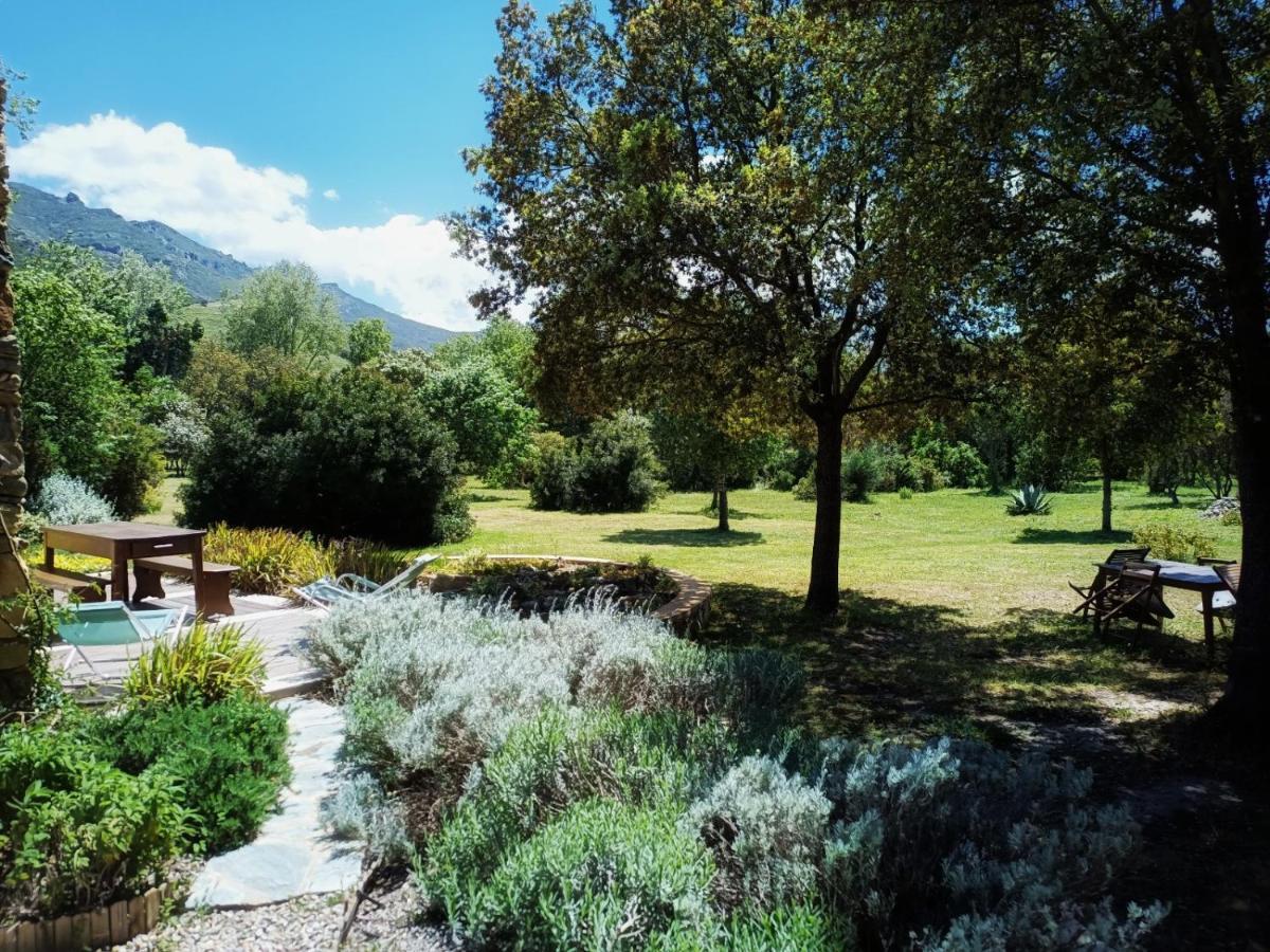 Les Jardins De Foata Villa Barbaggio Buitenkant foto