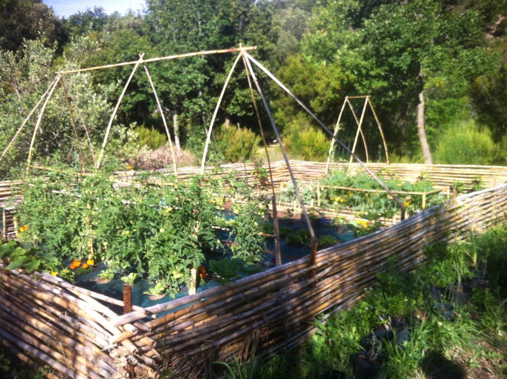Les Jardins De Foata Villa Barbaggio Buitenkant foto