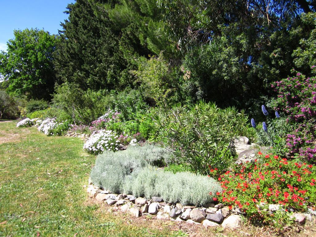 Les Jardins De Foata Villa Barbaggio Buitenkant foto