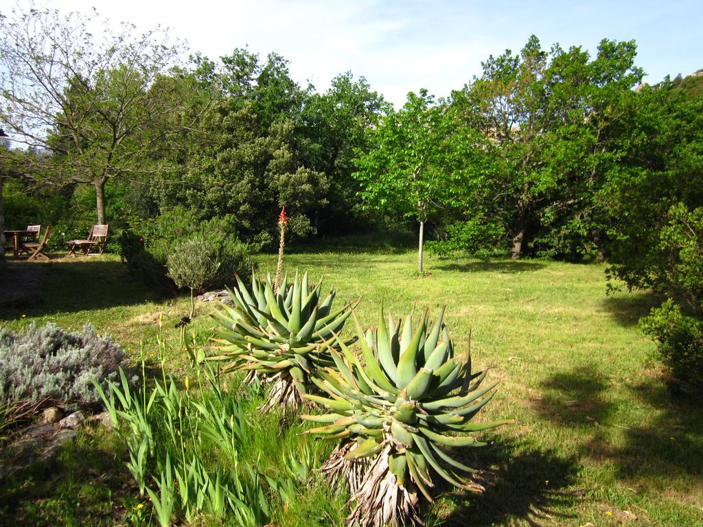 Les Jardins De Foata Villa Barbaggio Buitenkant foto