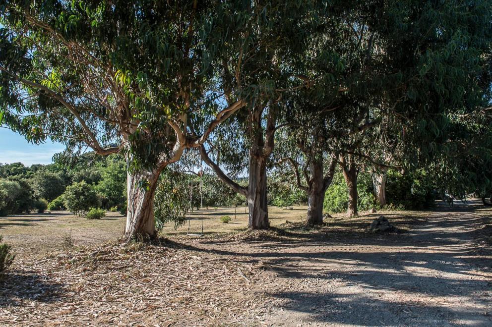 Les Jardins De Foata Villa Barbaggio Buitenkant foto