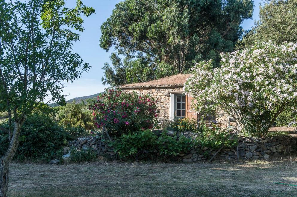 Les Jardins De Foata Villa Barbaggio Buitenkant foto